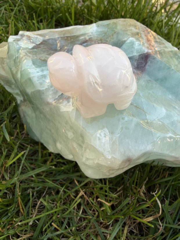 Krystalová želvička, výběr z minerálů