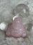 Růženín Malý Budha