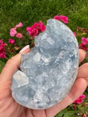 Celestýn